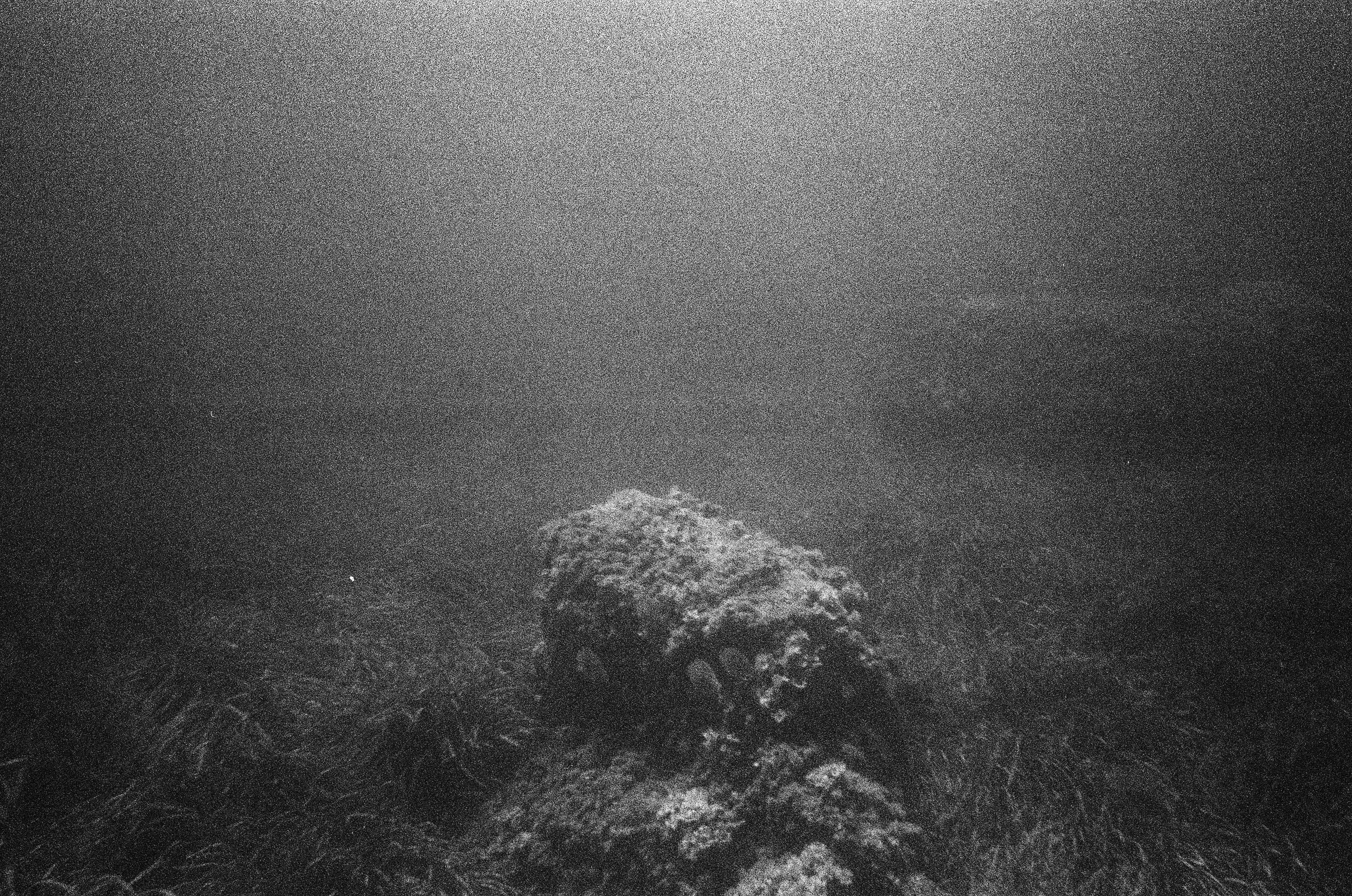 Photo argentique 4